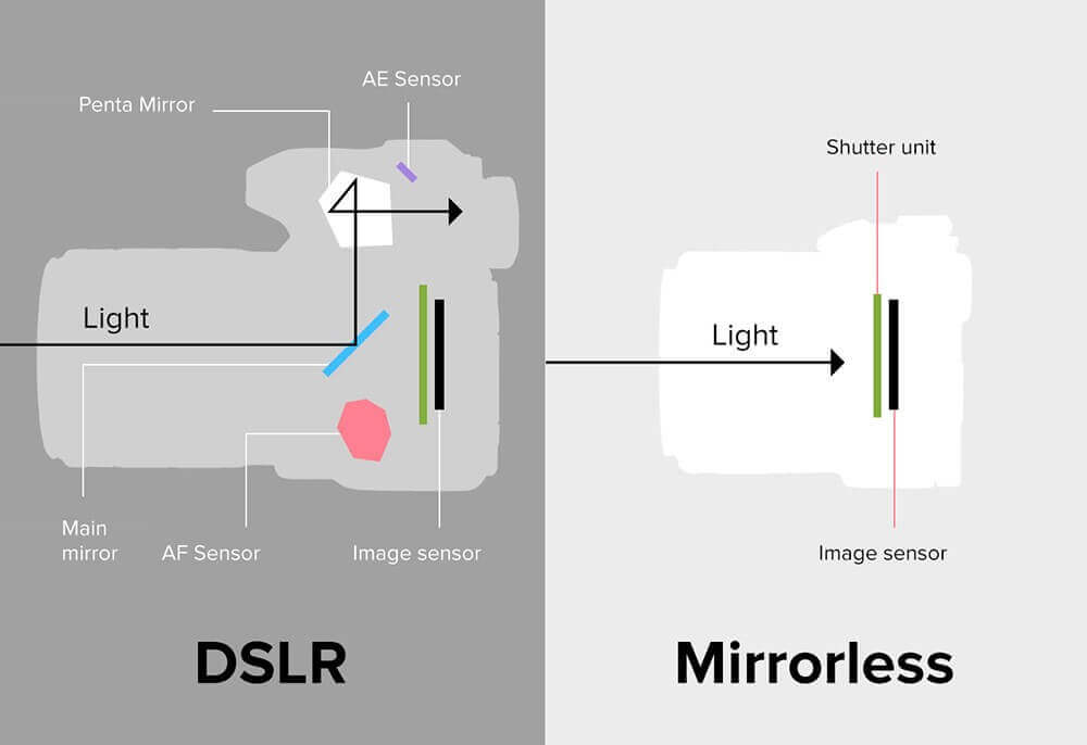Macchine Fotografiche Mirrorless Vs DSLR: Pro E Contro
